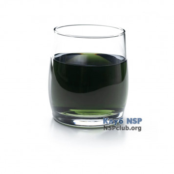 Жидкий хлорофилл НСП (Liquid Chlorophyll NSP) NSP, модель RU1580 | Изображение № 1
