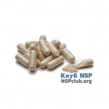 Пищеварительные ферменты НСП (Food Enzymes NSP) NSP, модель RU1836 | Изображение № 1