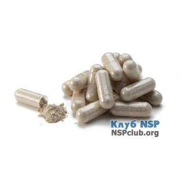Про Формула НСП (Pro Formula NSP) NSP, модель RU60021 | Изображение № 1
