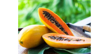 6 удивительных достоинств папайи для Вашего здоровья