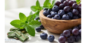 Антиоксиданты: защита от старения и болезней на клеточном уровне