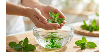 Вредные привычки и токсикология: Как восстановить организм после курения и защитить себя от пассивного дыма