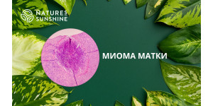 Как помочь организму при миоме матки: нутрицевтическая поддержка от NSP