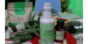 Как поддержать пищеварение в праздники: продукты NSP для здоровья ЖКТ