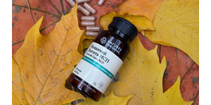 Кошачий коготь от NSP: универсальная поддержка иммунитета и не только