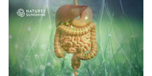 Почему здоровье ЖКТ критично для женского гормонального баланса и как поддержать его с помощью продукции NSP