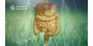 Почему здоровье ЖКТ критично для женского гормонального баланса и как поддержать его с помощью продукции NSP