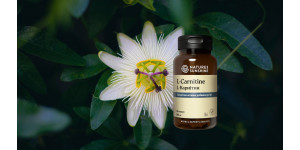 Хиты NSP. L-карнитин энергия, выносливость и поддержка здоровья на клеточном уровне