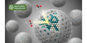 Важней всего погода в доме