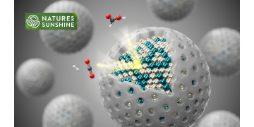 Важней всего погода в доме