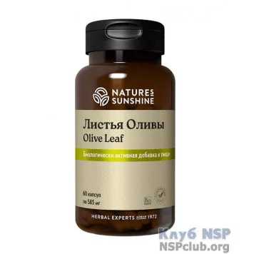 Листья оливы НСП (Olive leaf extract NSP) NSP, артикул RU204