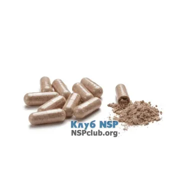 Шарк Рей Формула НСП (Shark Rei Formula NSP) NSP, модель RU1602 | Изображение № 1