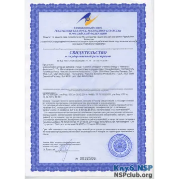 Солстик Энерджи НСП (Solstic Energy) NSP, модель RU6500 | Изображение № 3