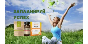 Запланируйте свой успех с новой программой NSP