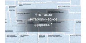 Метаболическое здоровье: что это и как его улучшить?