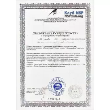 Кoрень солодки NSP, модель RU424 | Изображение № 4
