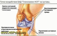glyukozamin